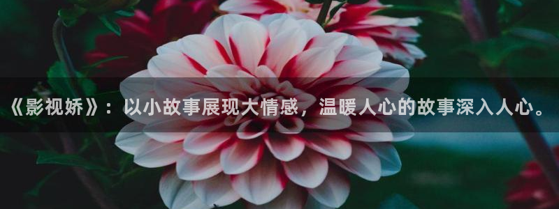 樱花影院高清电影好看的电影