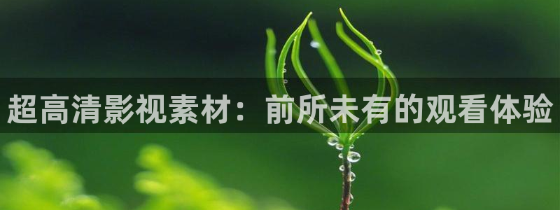 樱花影视免费看各种电影