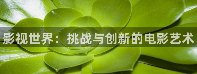 樱花电影在线免费入口：影视世界：挑战与创新的电影艺术